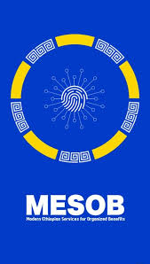 One Stop Shop Center – MESOB Projects (8 locations: Federal MESOB, Addis MESOB HQ, Addis MESOB Lideta, Addis MESOB Addis Ketema, Addis MESOB Nefas Silk Lafto, Central Ethiopia Regional Admin (Hossana), South Ethiopia Regional Admin (Wolaita Sodo), Afar Regional Admin (Semera) — wide view